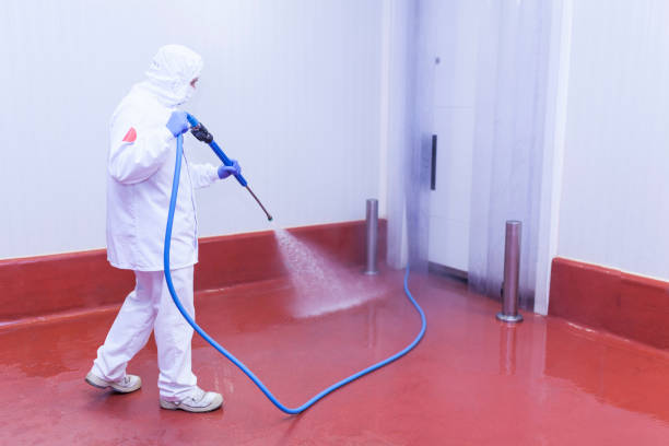 Best Rust and Stain Removal in Las Quintas Fronterizas, TX