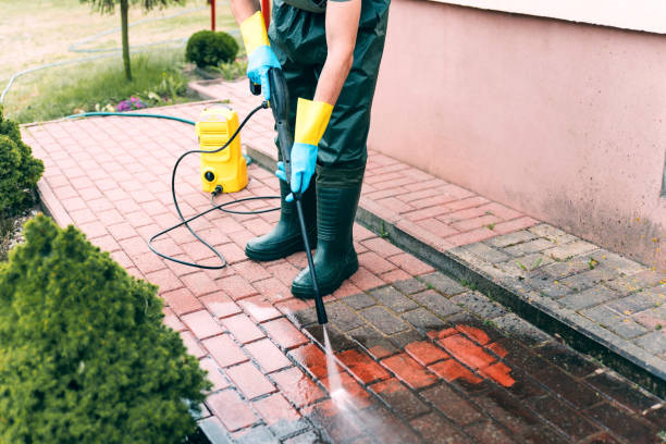 Best Driveway Cleaning and Restoration in Las Quintas Fronterizas, TX