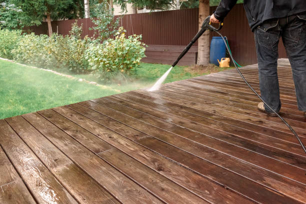 Best Soft Washing for Delicate Surfaces in Las Quintas Fronterizas, TX