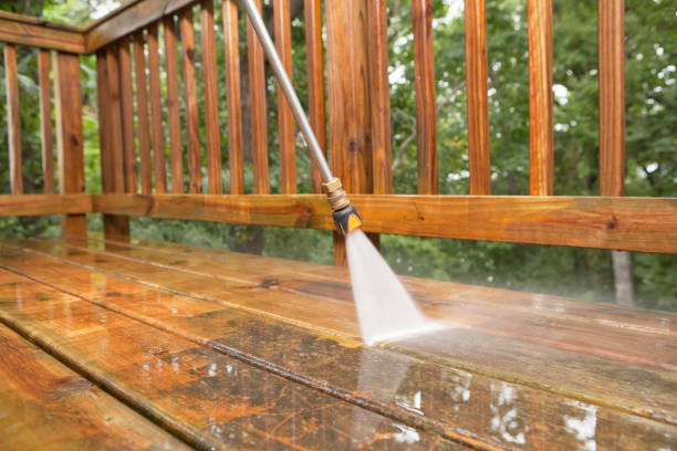 Best Residential Pressure Washing in Las Quintas Fronterizas, TX